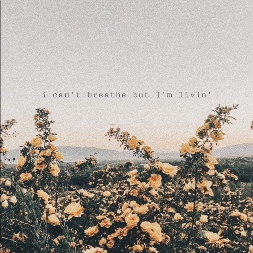 Meet your Posher, Katelyn